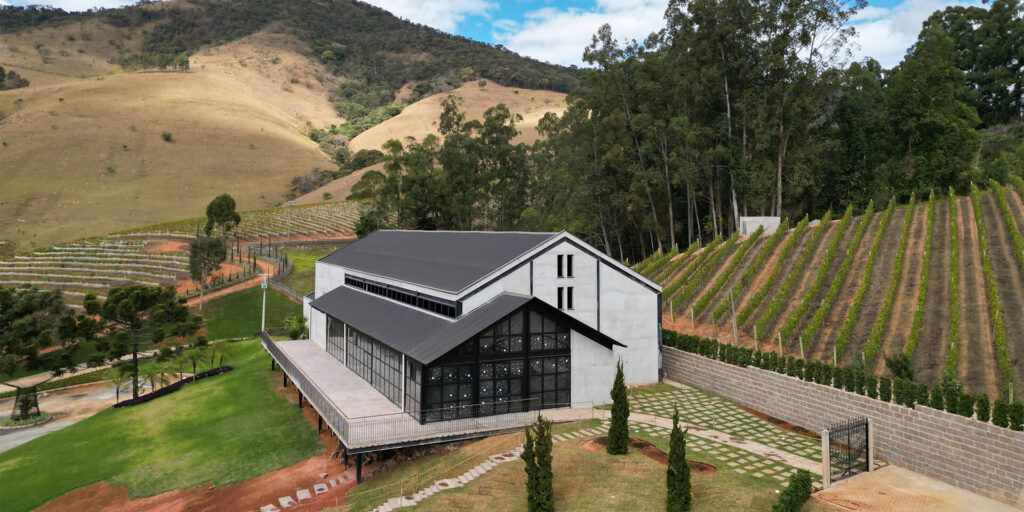 VINICOLA ALMA MINEIRA